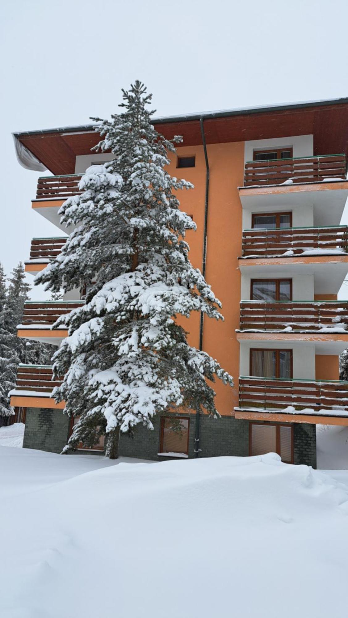 Apartman Palenica II Tatranska Strba Exterior foto